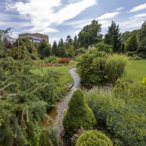 Botanical garden Kosice (10)