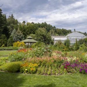 Botanical garden Kosice (12)