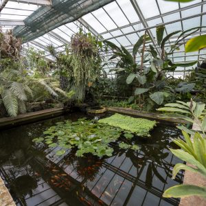 Botanical garden Kosice (13)