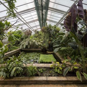 Botanical garden Kosice (14)