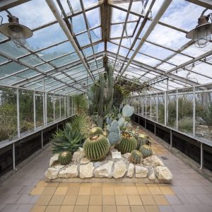 Botanical garden Kosice (15)