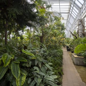 Botanical garden Kosice (16)