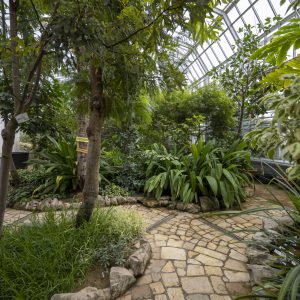 Botanical garden Kosice (17)