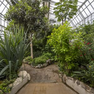Botanical garden Kosice (18)