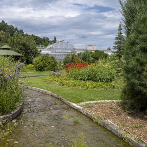 Botanical garden Kosice (19)
