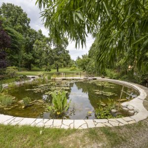 Botanical garden Kosice (2)