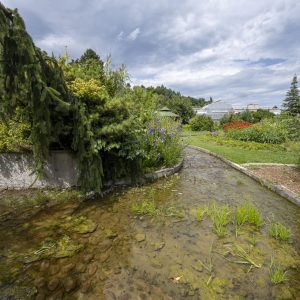 Botanical garden Kosice (20)