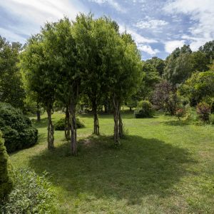 Botanical garden Kosice (4)
