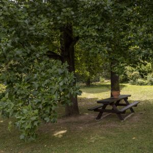 Botanical garden Kosice (5)