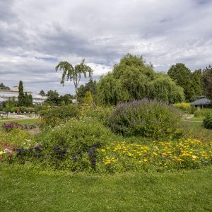 Botanical garden Kosice (6)
