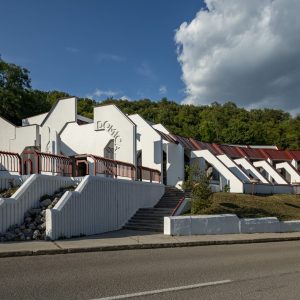 Domica funcionalism (1)