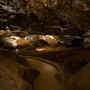 Ochtinska Aragonite Cave (9)