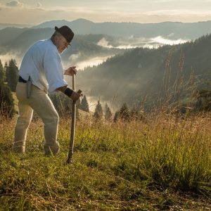 Príbehy z Kopaneckých lúk