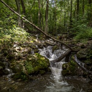 Zádielska Gorge (13)