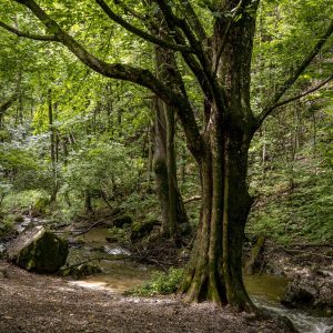Zádielska Gorge (14)