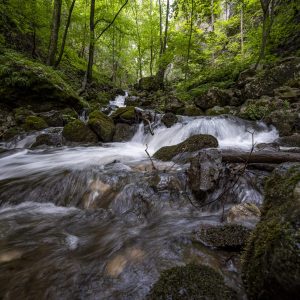 Zádielska Gorge (16)
