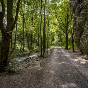 Zádielska Gorge (2)