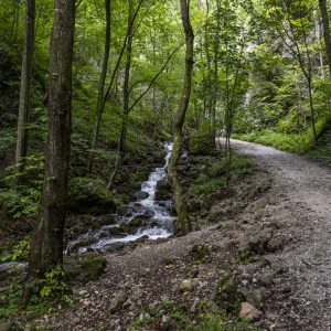 Zádielska Gorge (3)